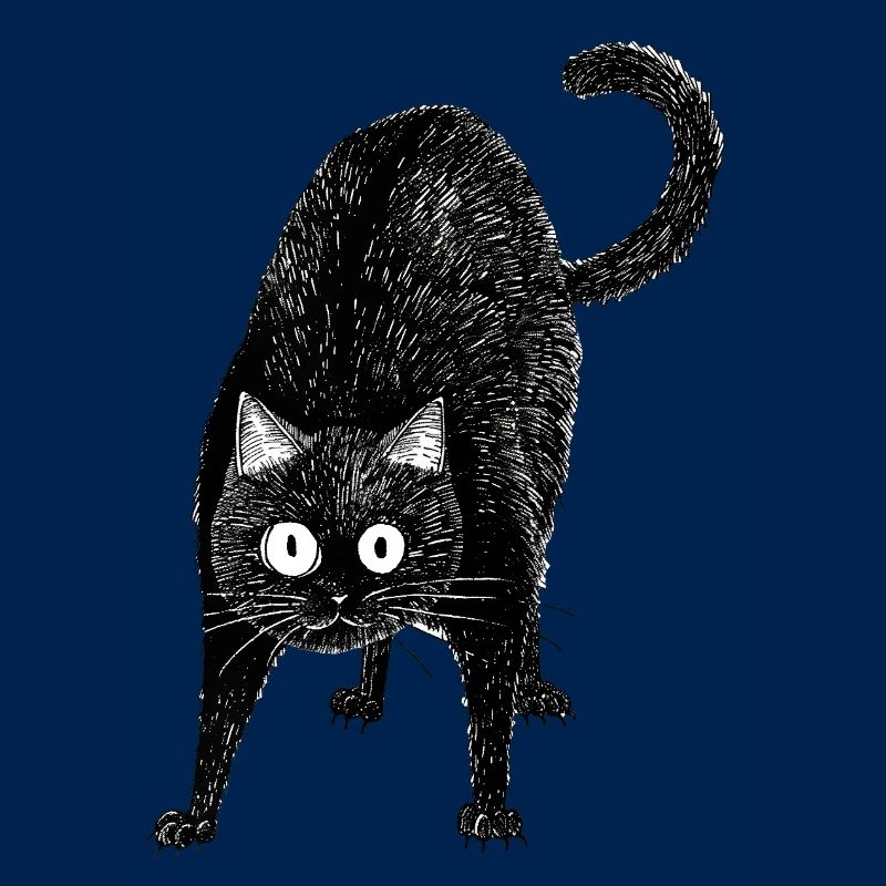 Black cat