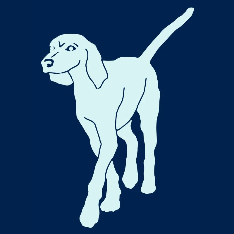 bracke dog