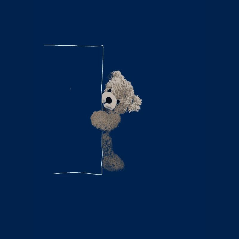 teddy