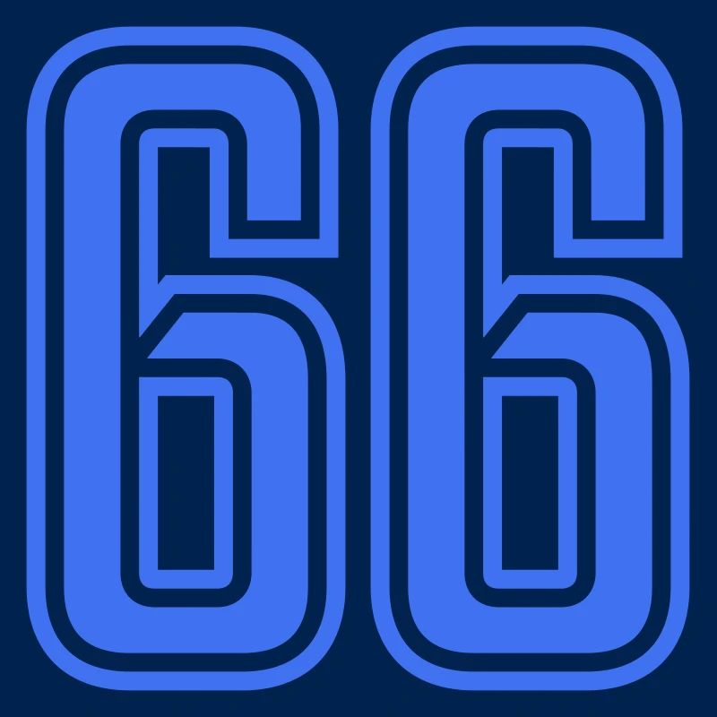 66