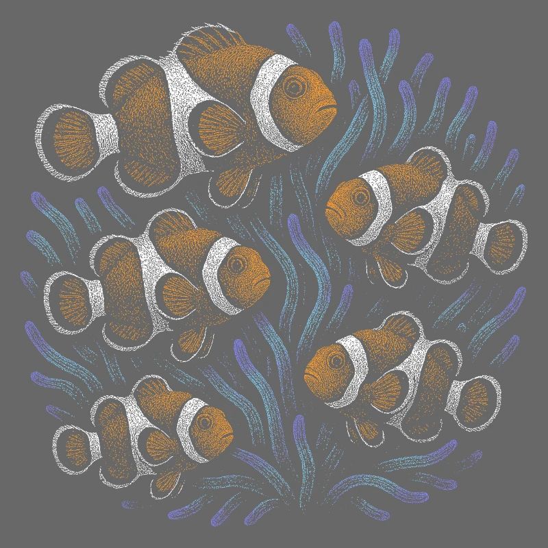 Clownfisch