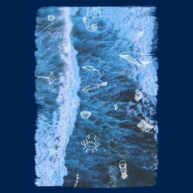 OCEAN