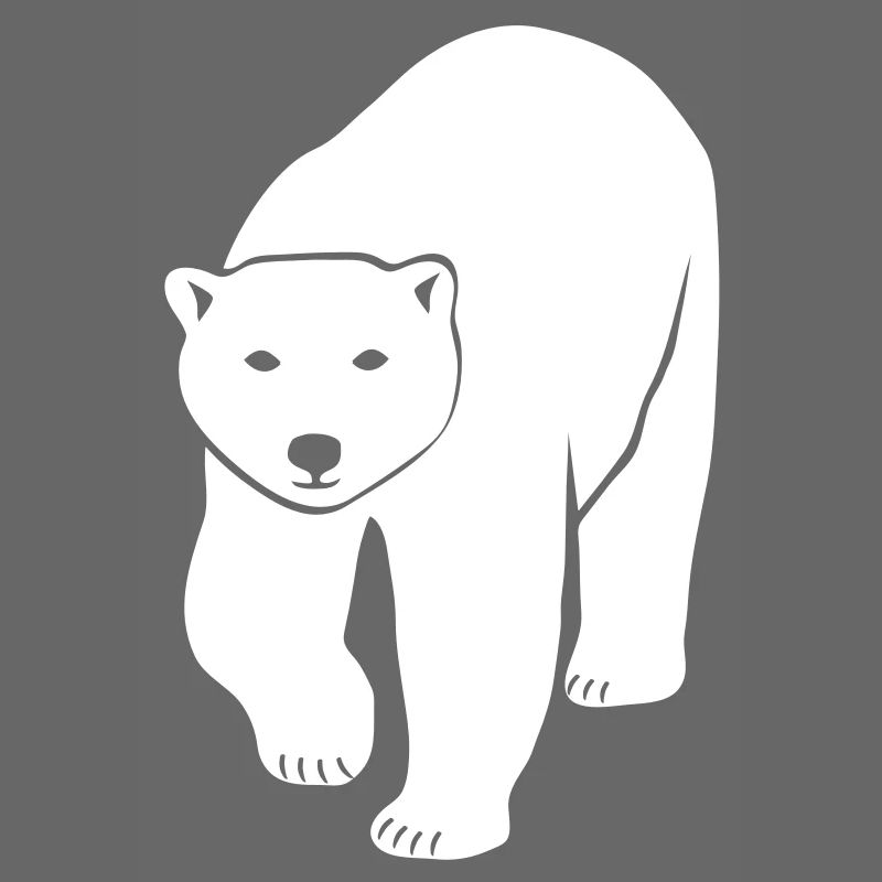 polar bear ice black white penguin knut climate