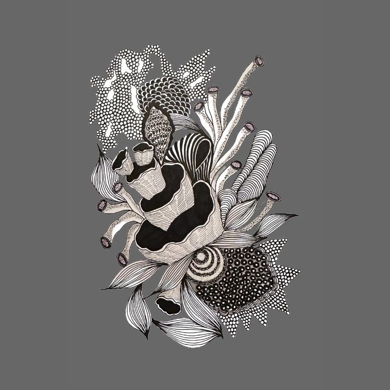 Illustration monochrome de fleurs de panda