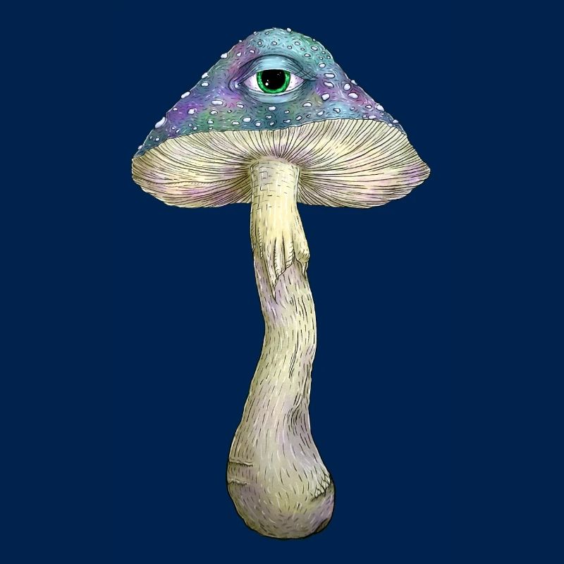 Einäugiger Regenbogenpilz