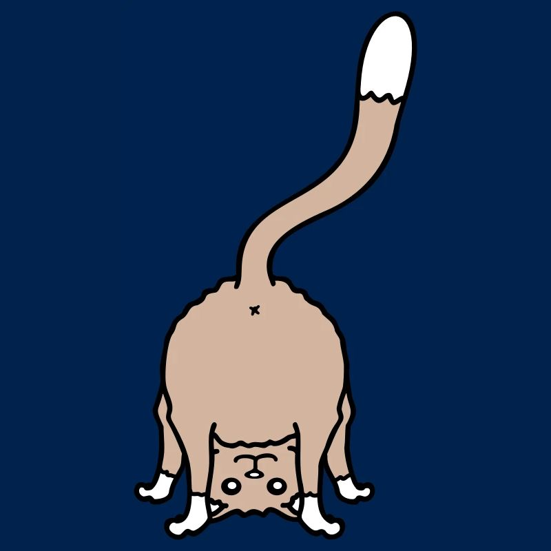 Funny Cat From Behind Shows Backside Ass Fun