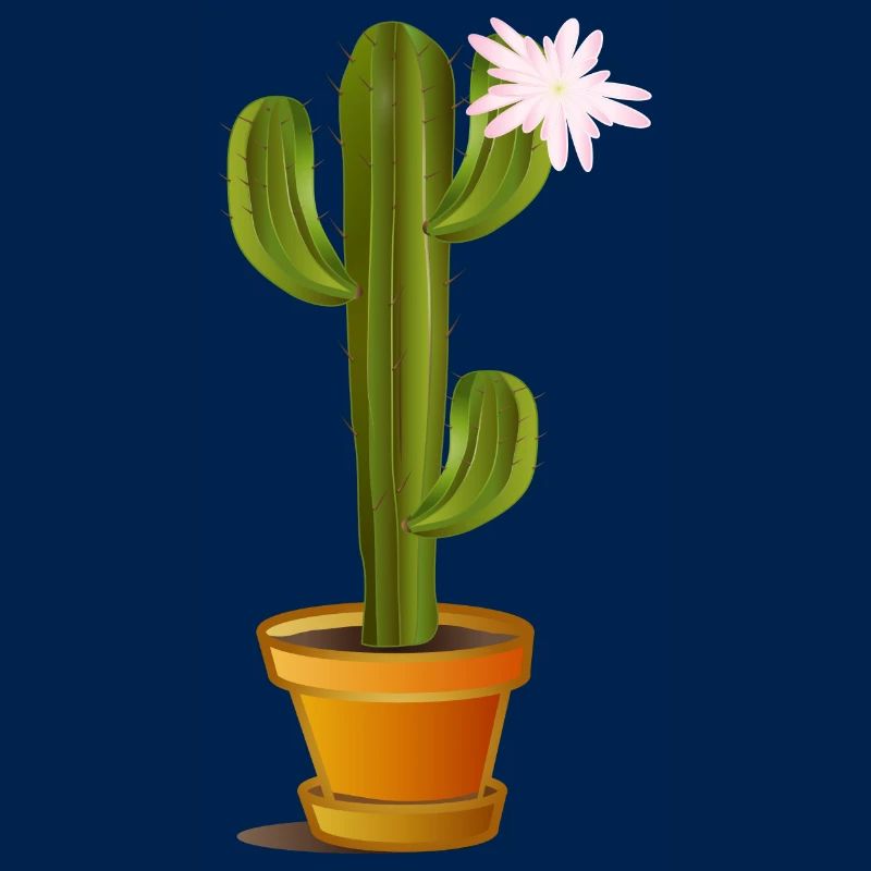 Cactus enchanteur dans un pot de fleurs avec fleur