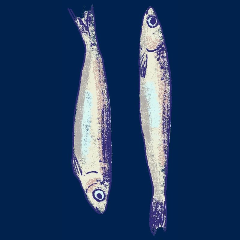 Zwei Sardinen