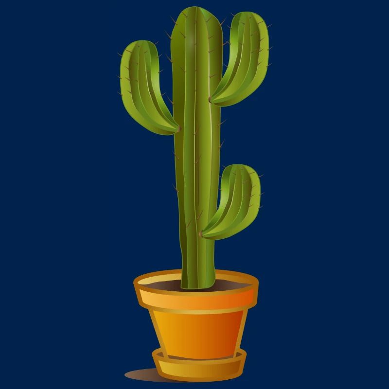 Grand cactus vert dans un pot de fleurs