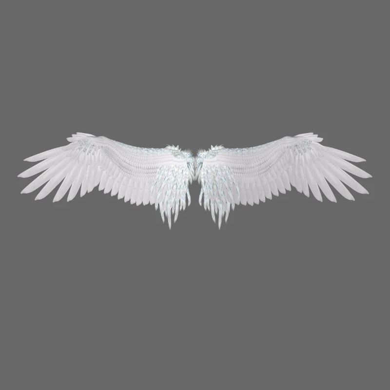 ailes d'ange