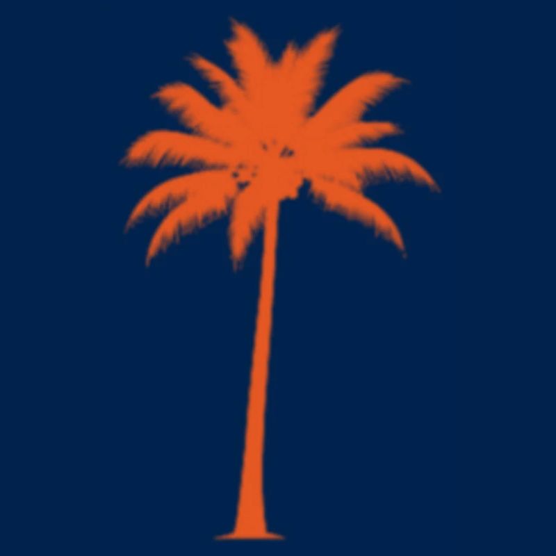 Sunset palm tree silhouette