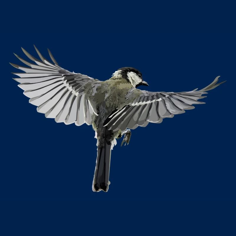 oiseau