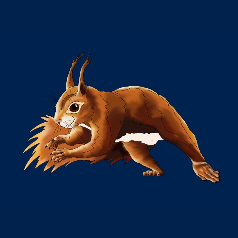 Eichhörnchen 6