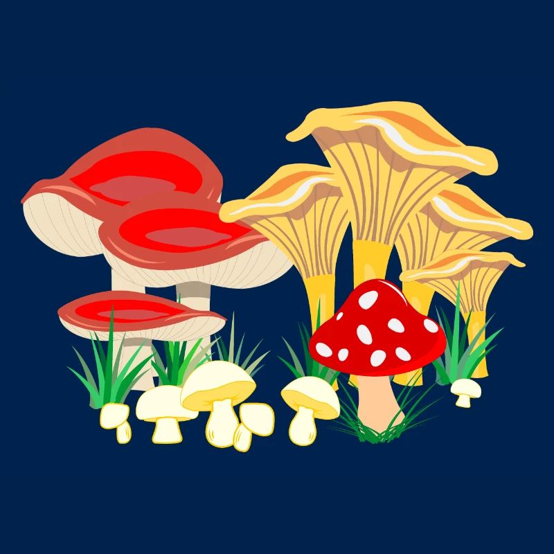 Composition colorée des champignons