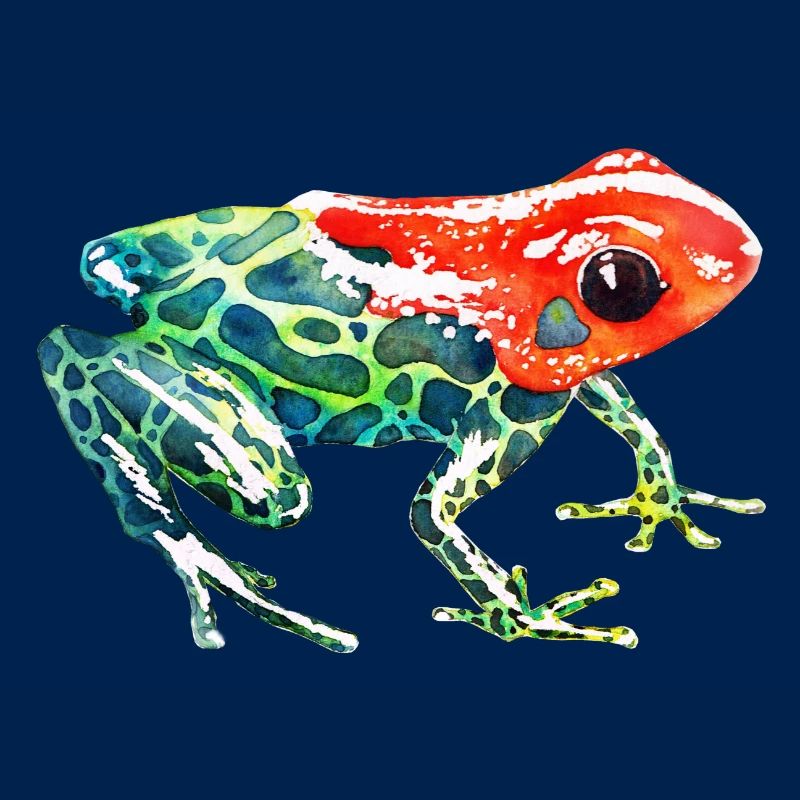 Frog with a red head