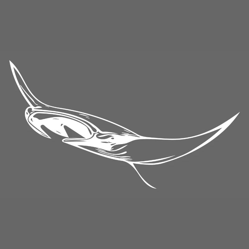 Elegant floating manta rays