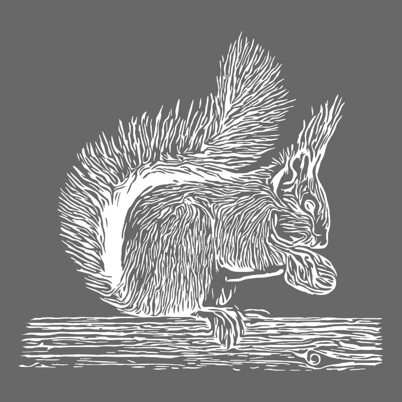 Süßes Eichhörnchen mit Nuss