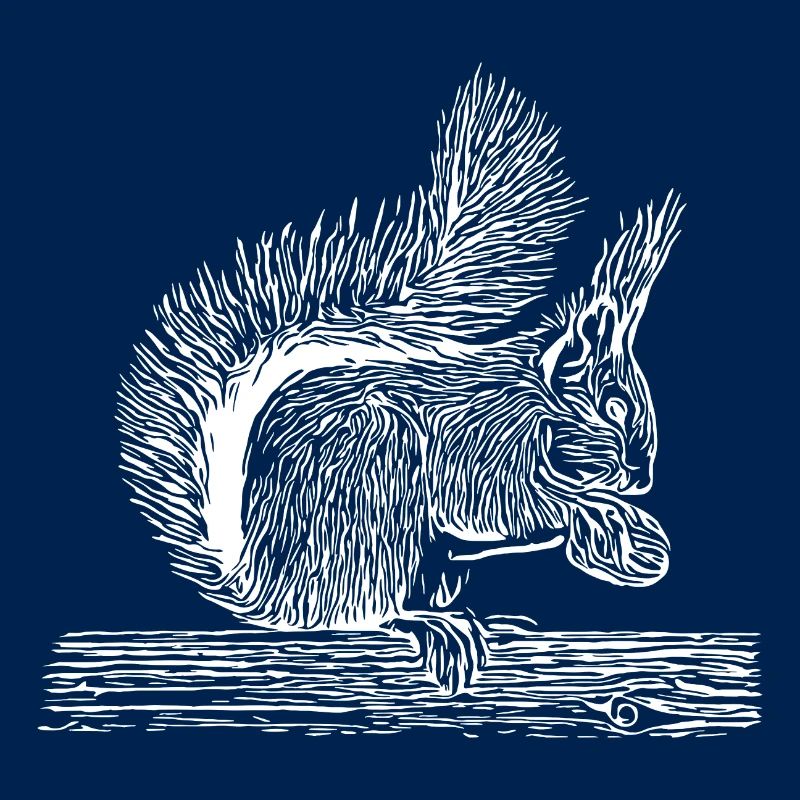 Sweet squirrel with nut