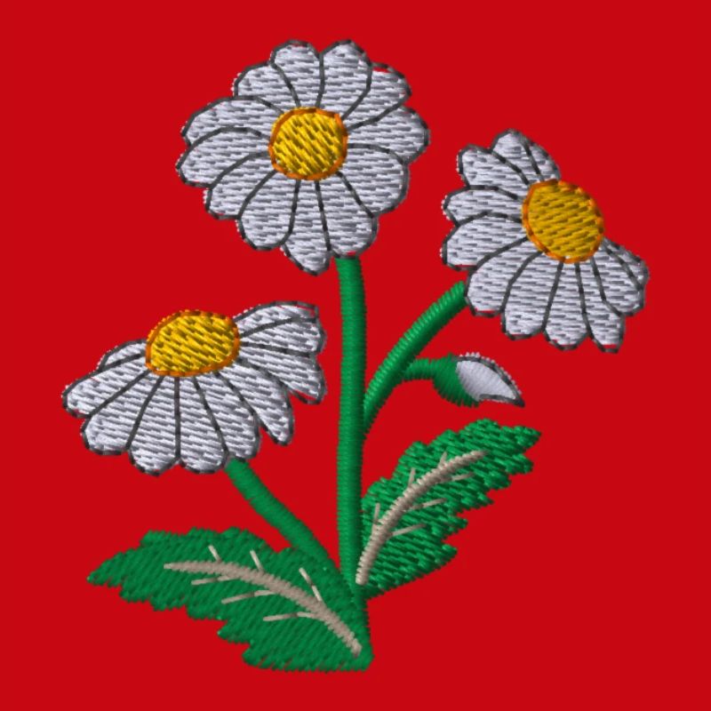Gänseblümchen