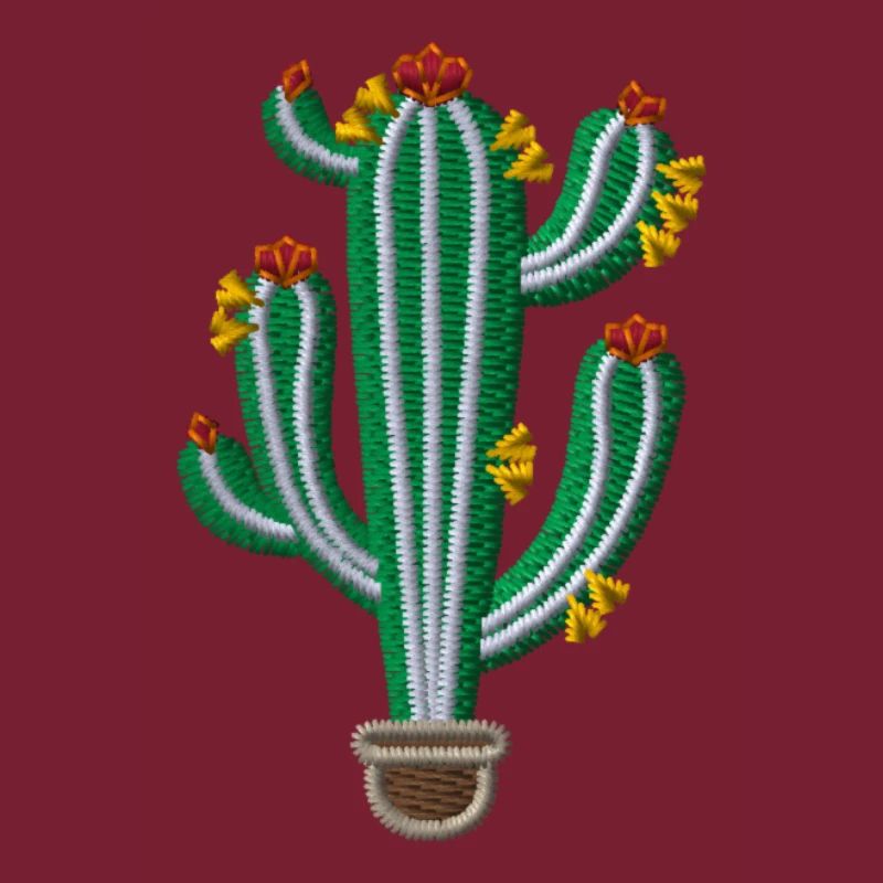 Cactus 1