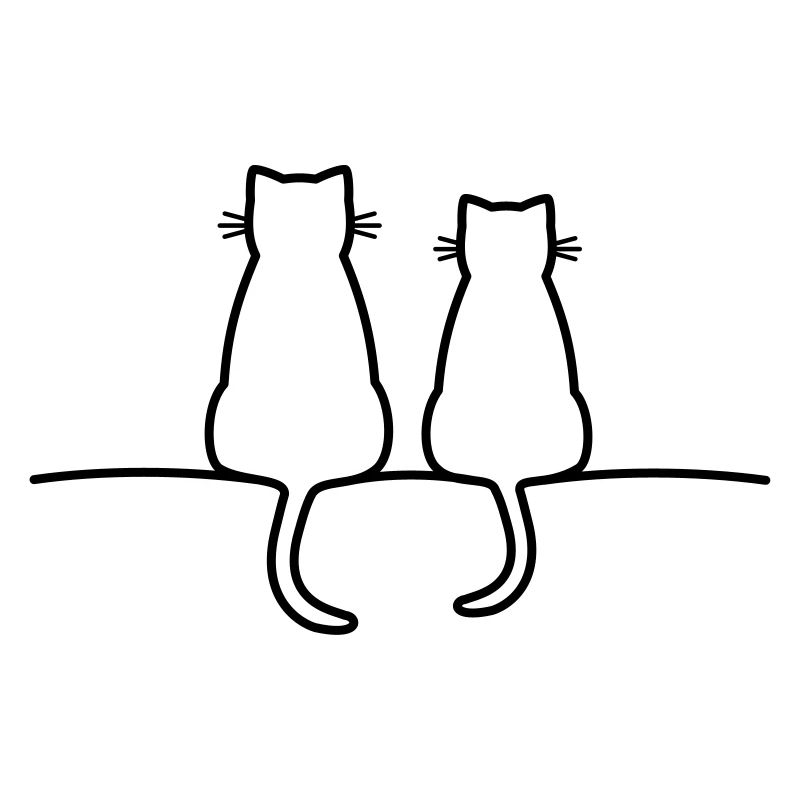 chats mignons chat amour amitié
