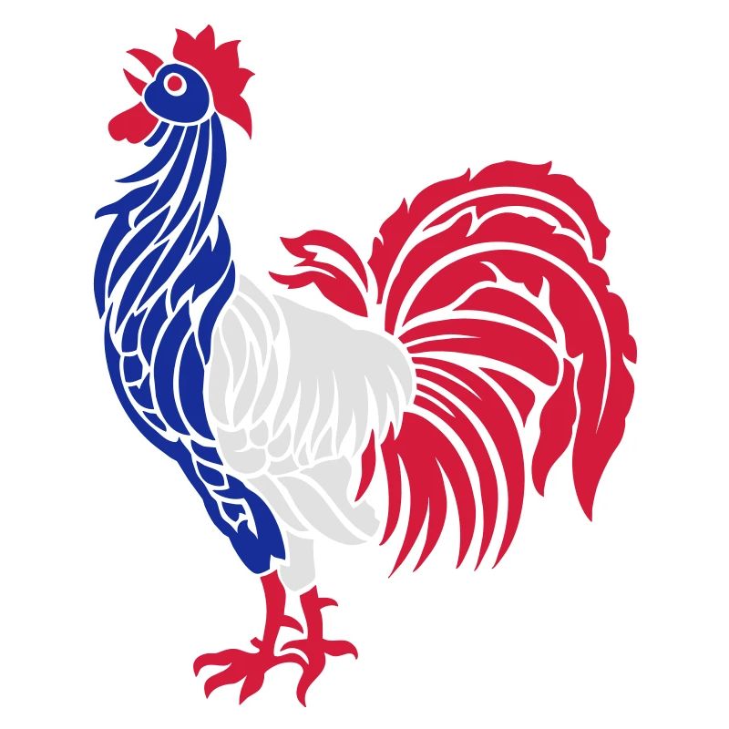 coq flexo