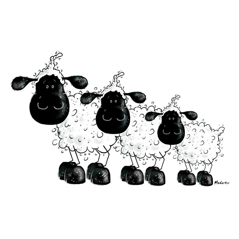 Drei Schäfchen - Schaf - Schafe- Sheep