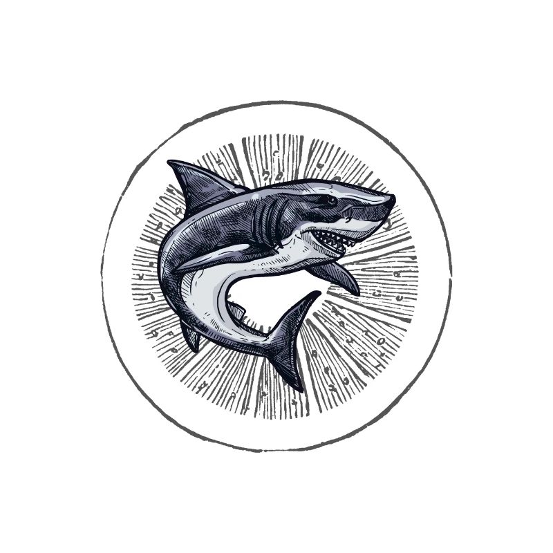 Dancing Shark