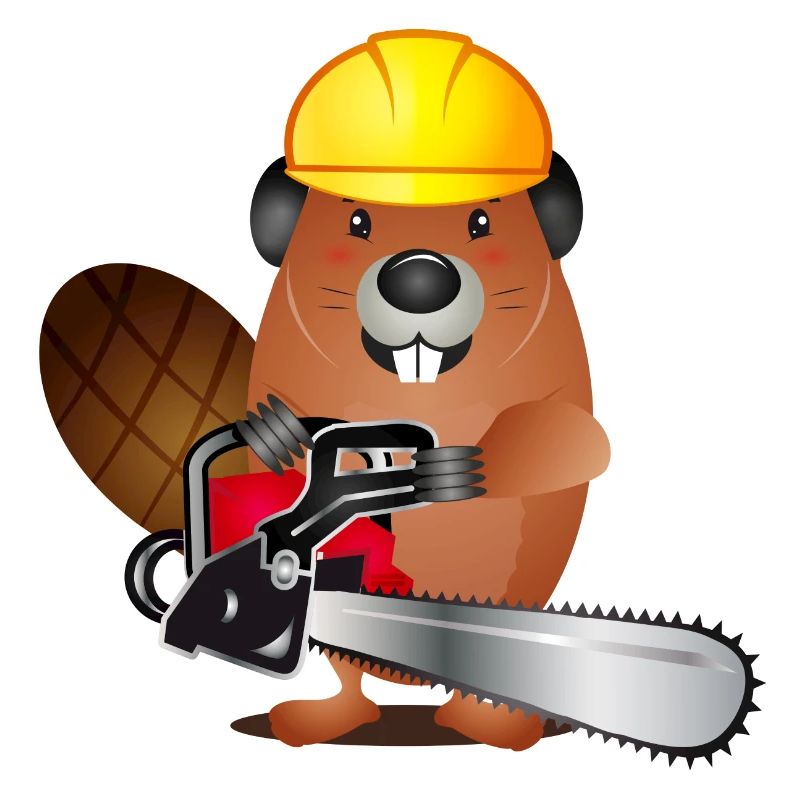 mignon castor avec une tronçonneuse et un casque de protection
