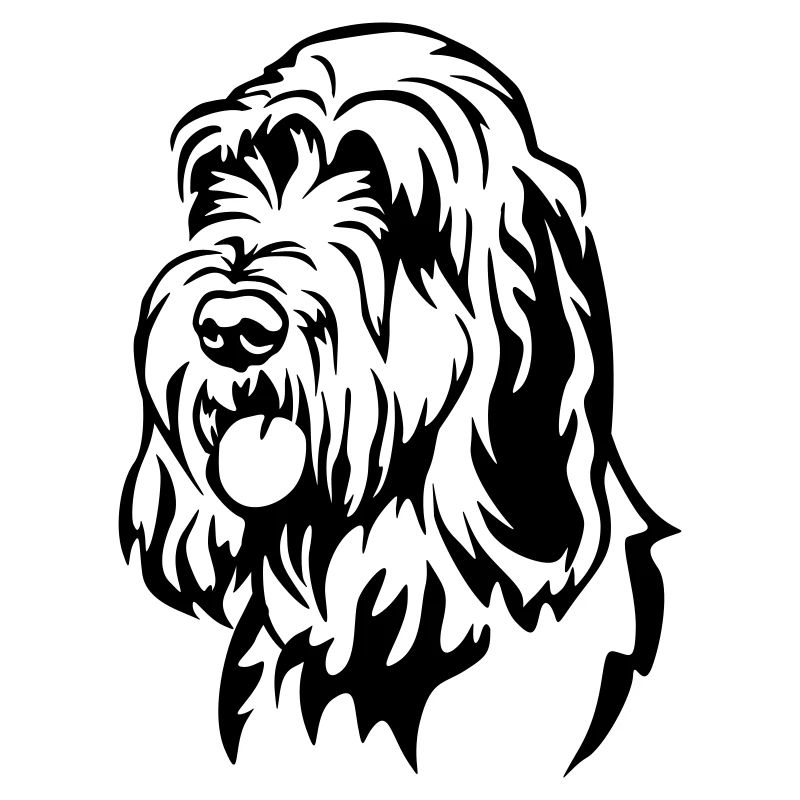 Tête de Spinone Italiano