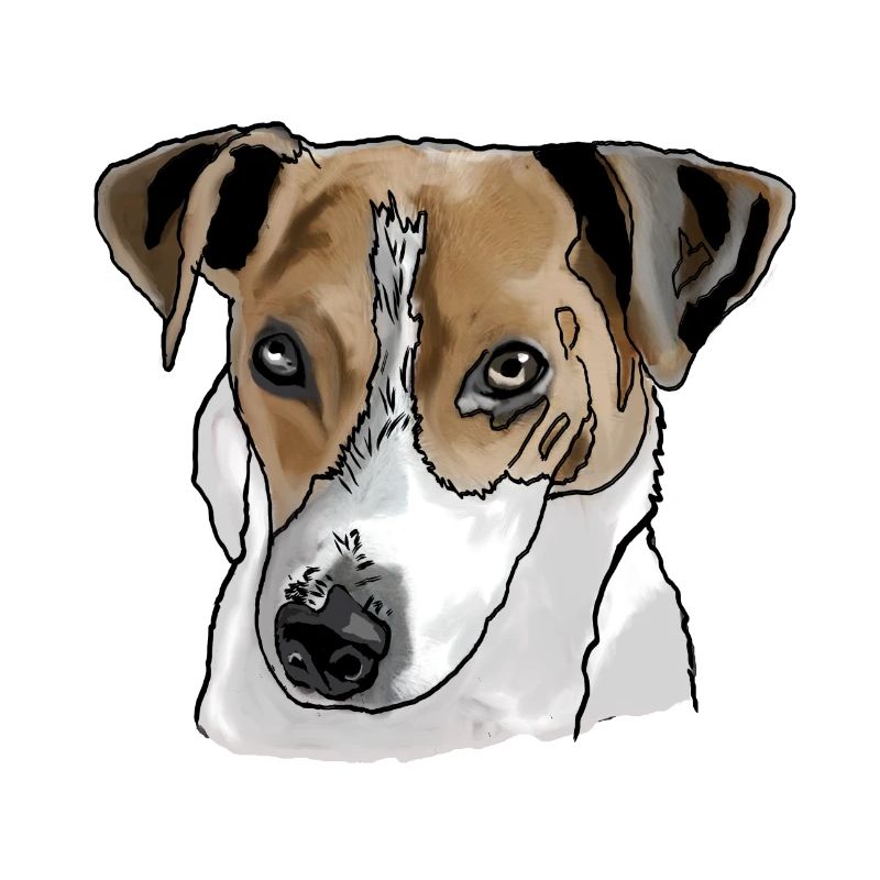 Jack Russel Terrier
