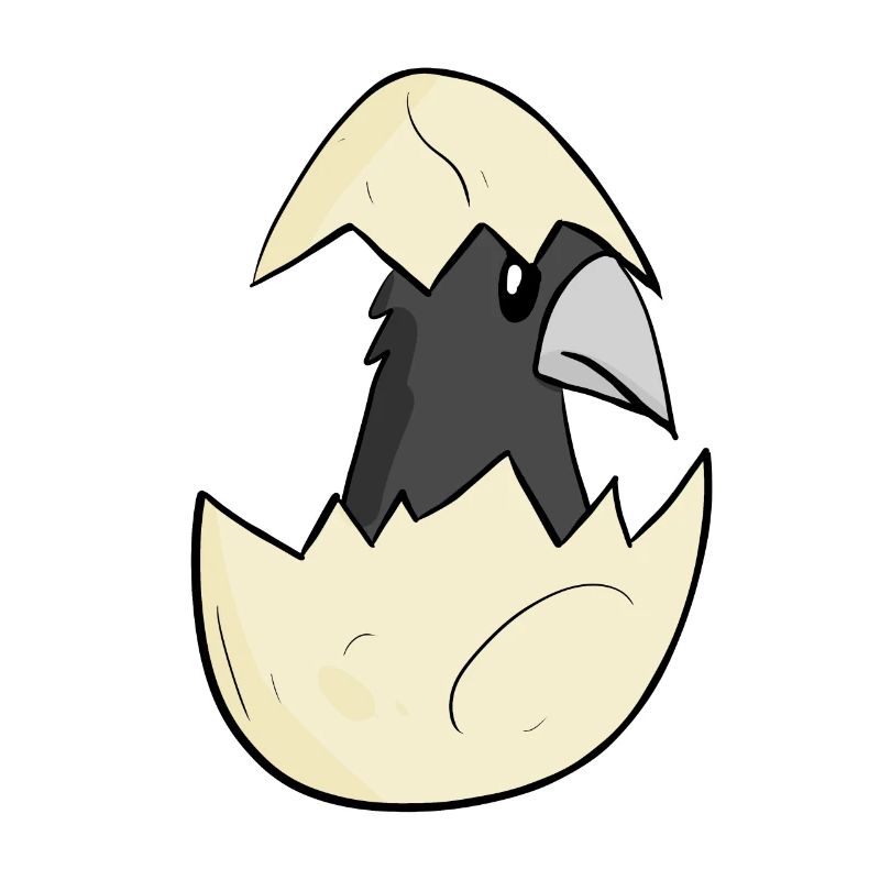 Bébé corbeau