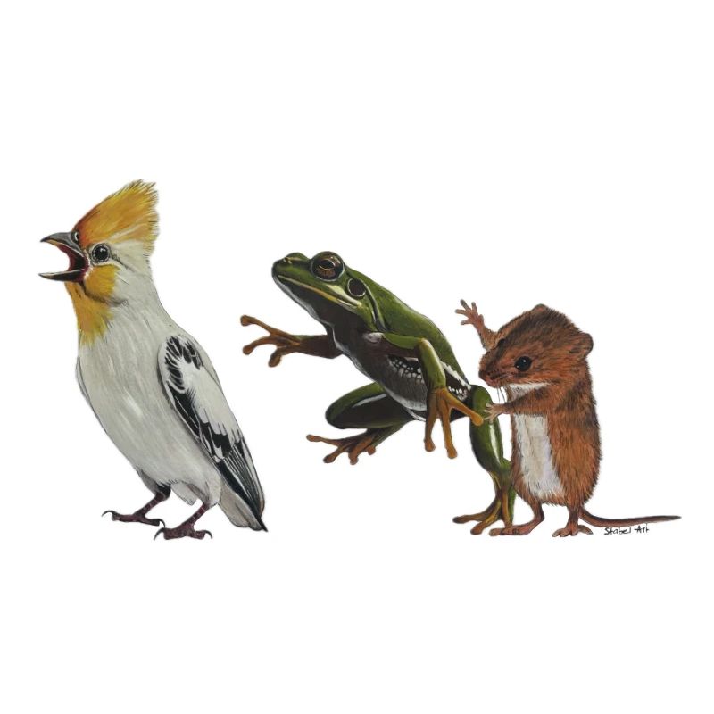 Die Polonaise oder Vogel, Frosch und Maus