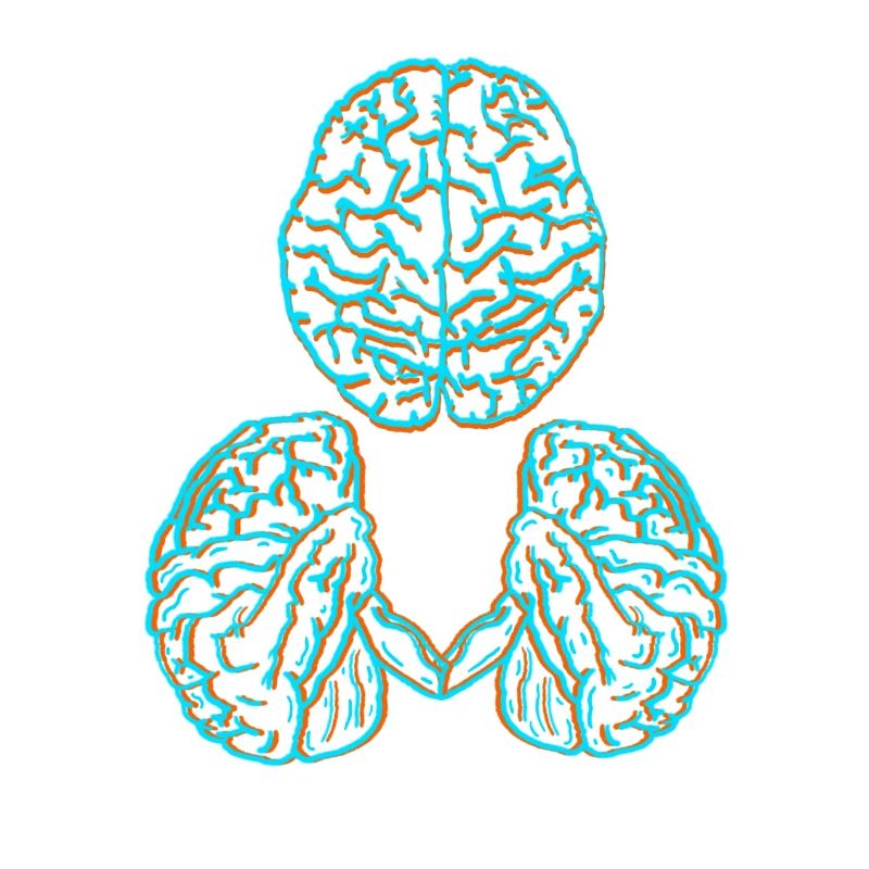 Brain