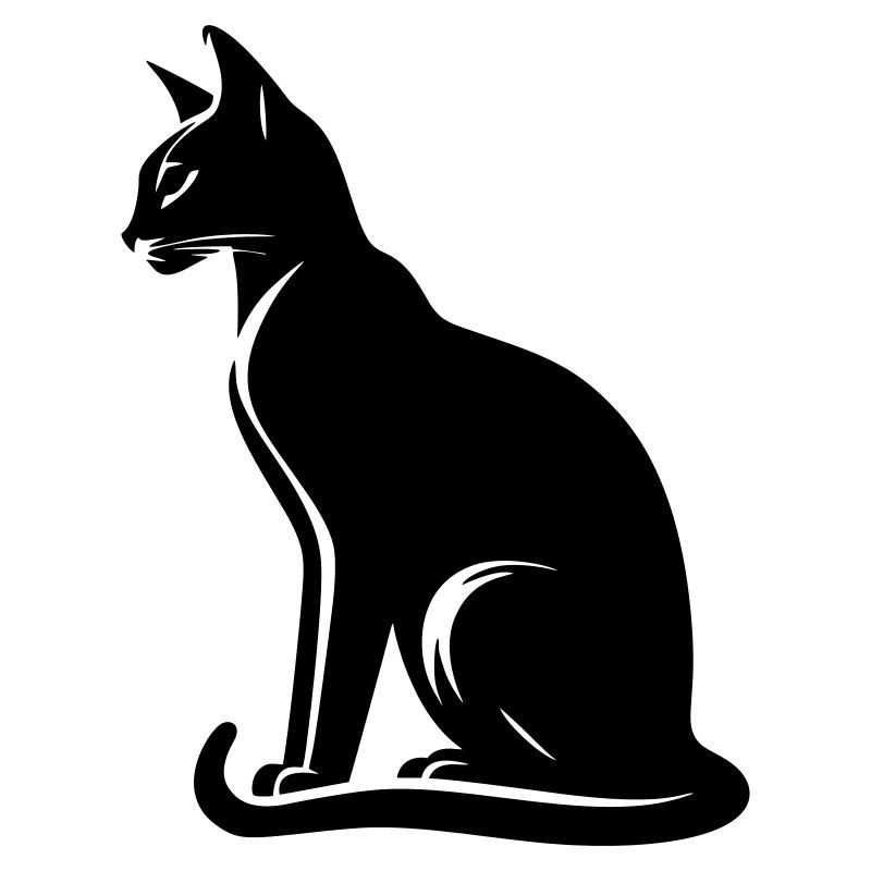 Abyssinian Cat