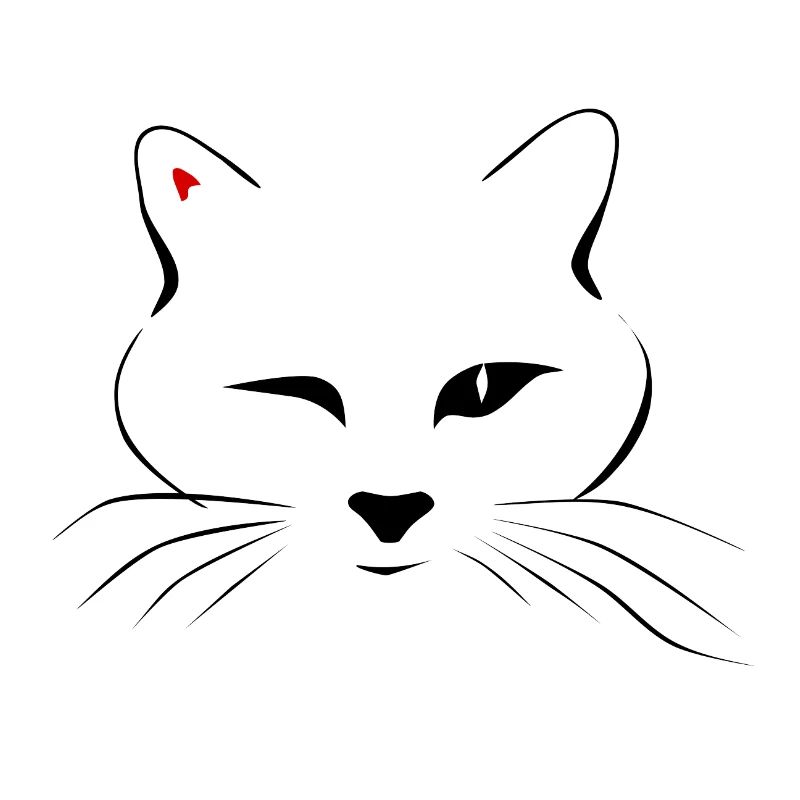 Kitty Wink Saint-Valentin
