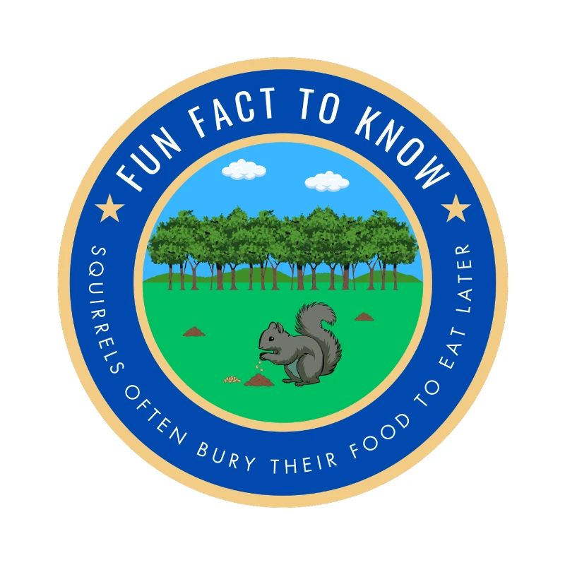 Fun Squirrel Fact
