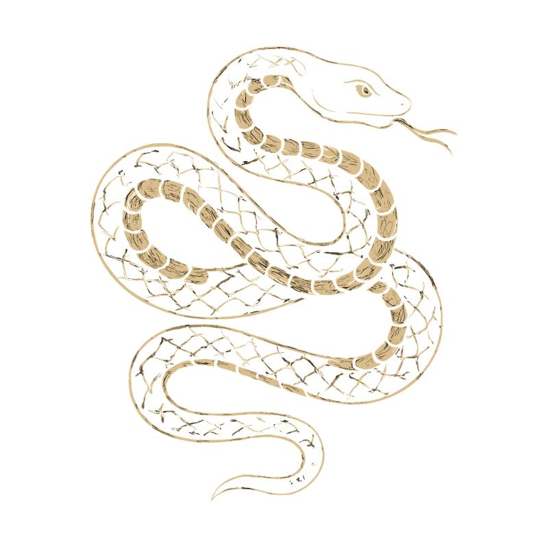 Golden Snake Net Pattern