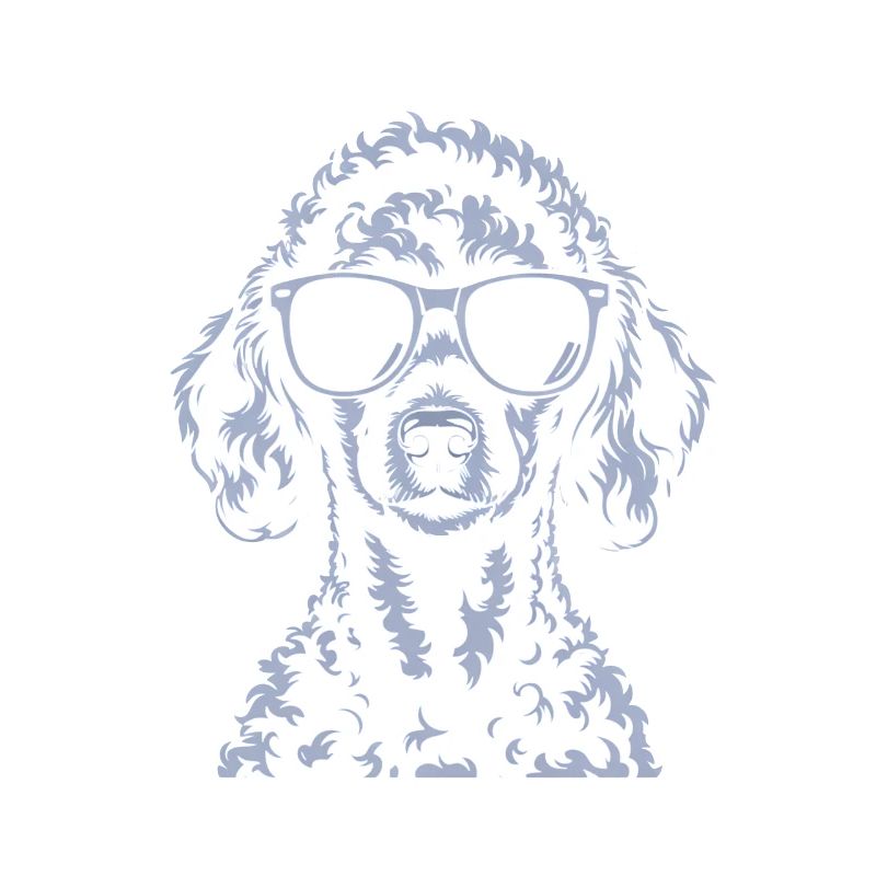 Caniche blanc