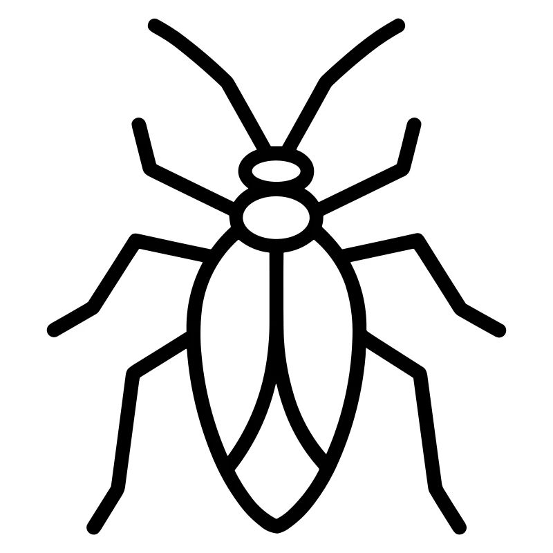 Aphid