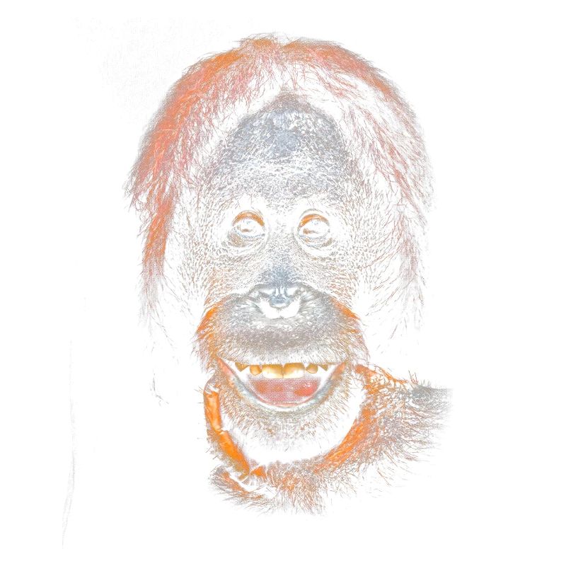 Lustiges Meme mit einem Orangutan