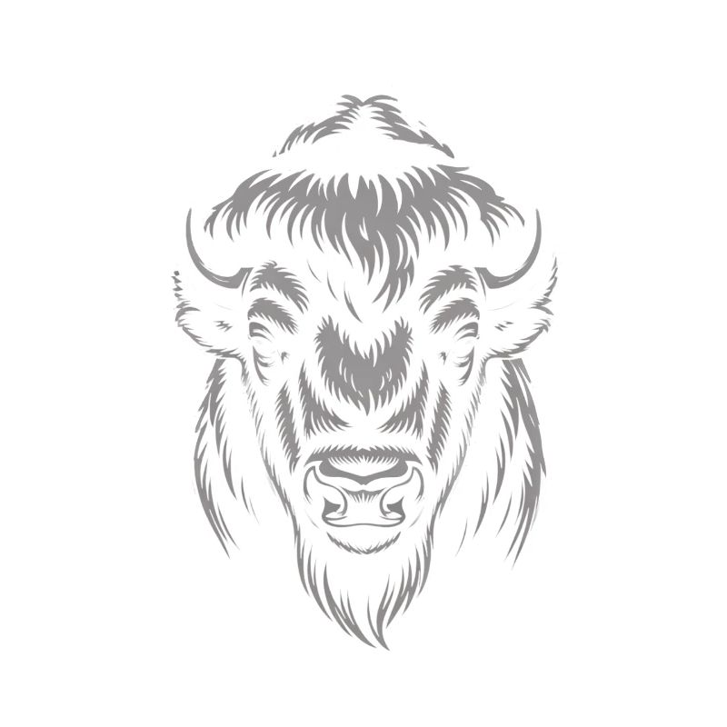 Tête de bison gris