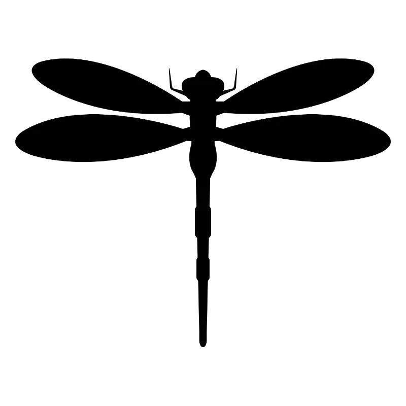 Libellule