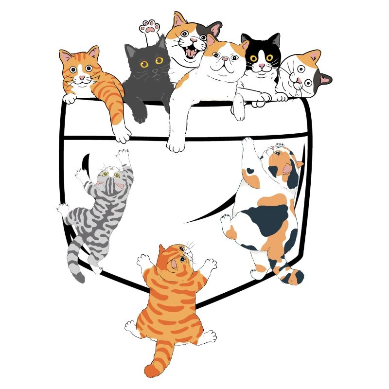 Süße Katzen klettern - originelle Geschenkidee