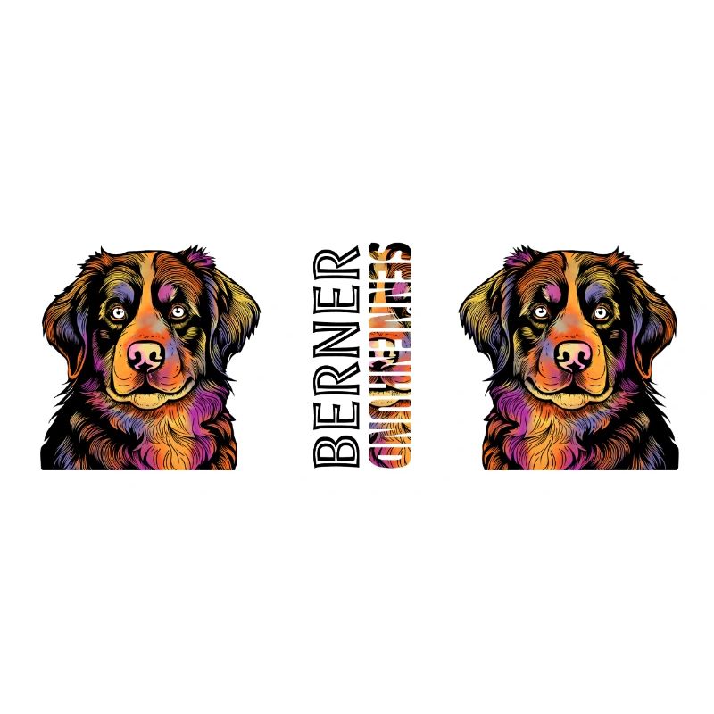 Bouvier bernois