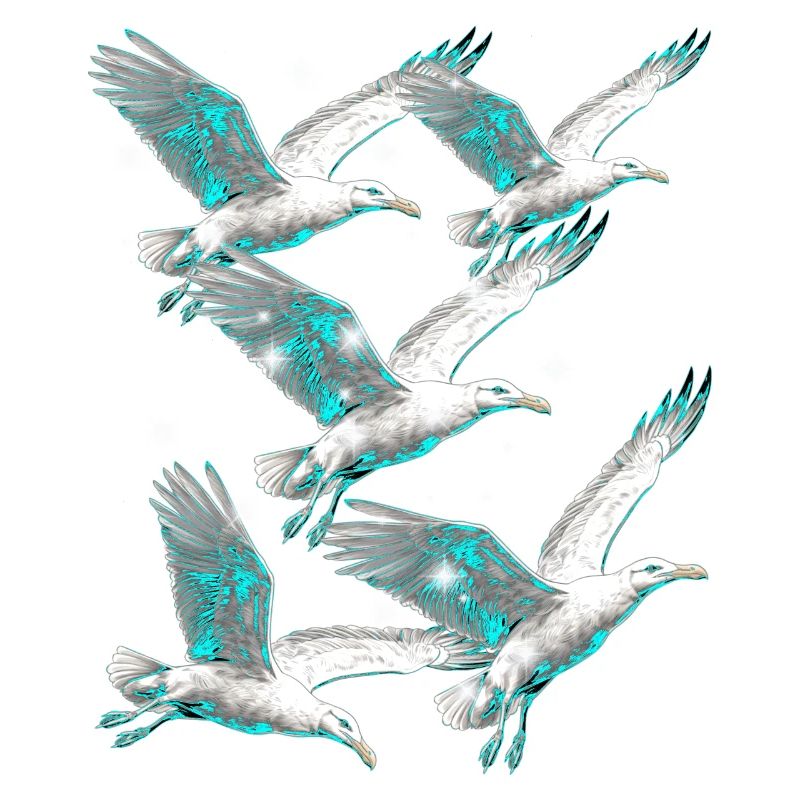 Maritim Möwe Möwen Seevögel