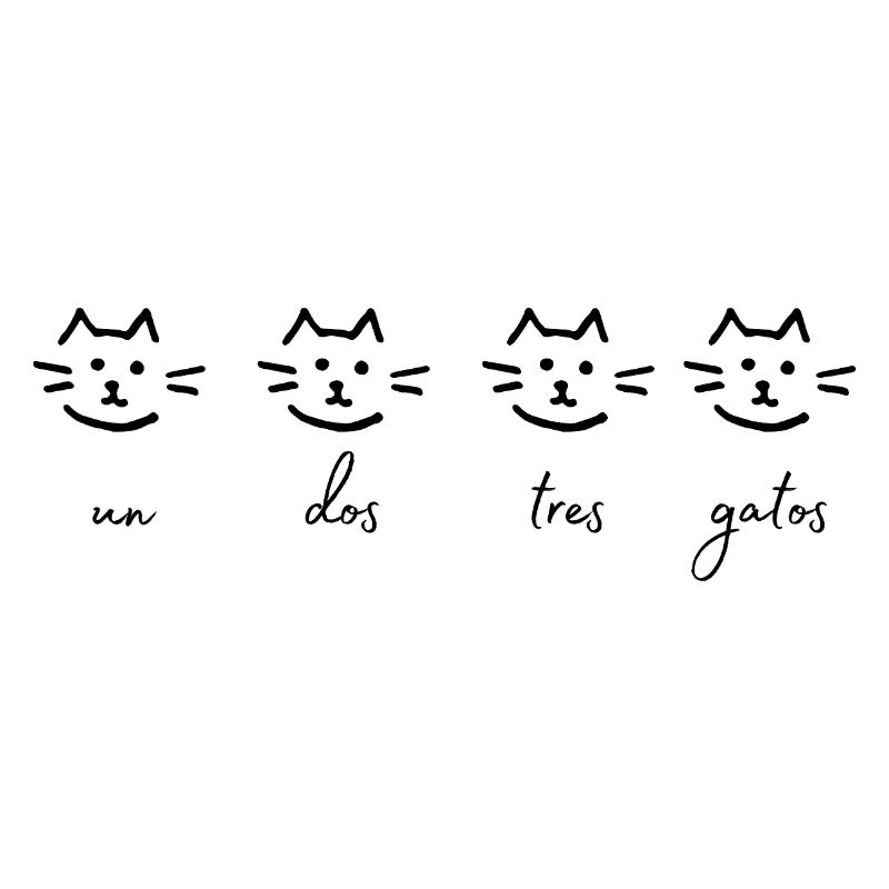 eins zwei drei katzen