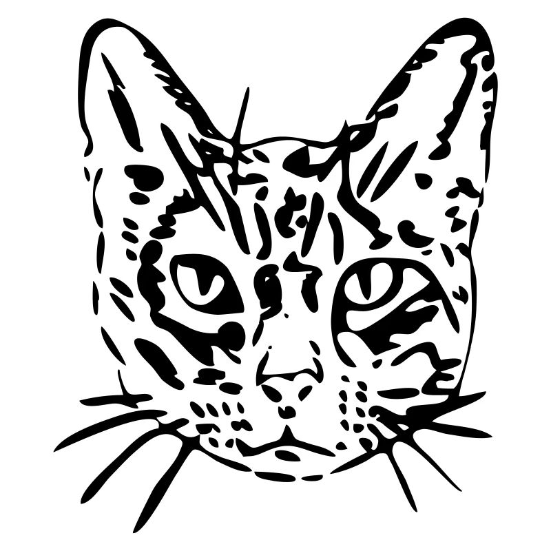 Katze, Mieze, Miezekatze, Geschenk, Geschenkidee