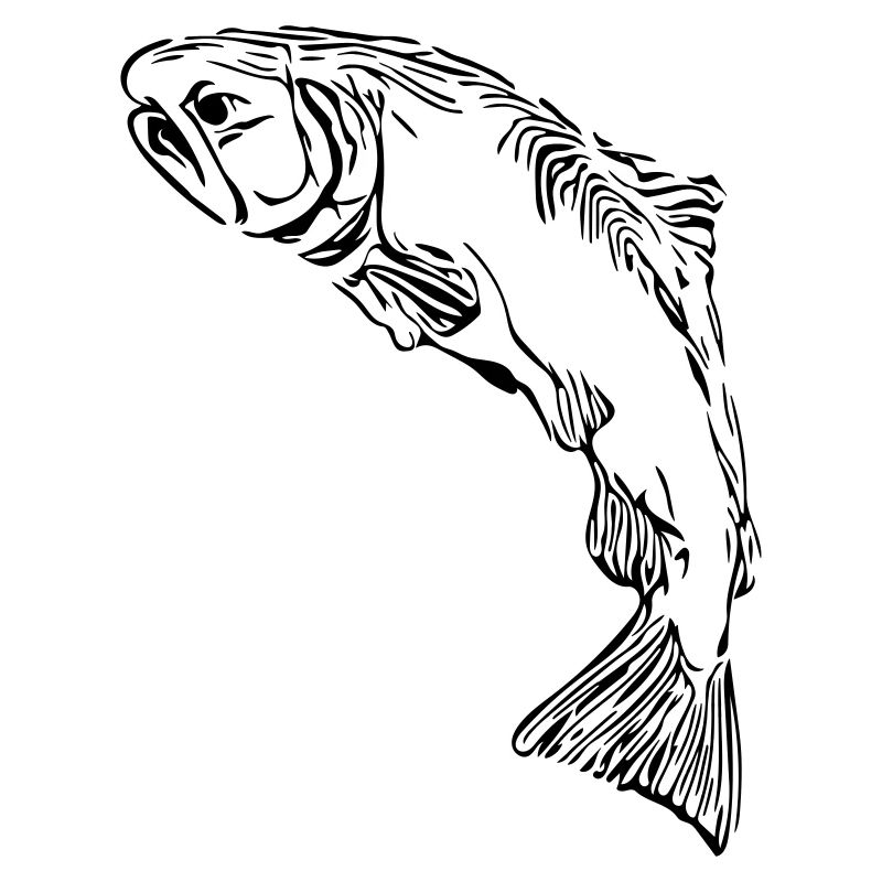 Saumons