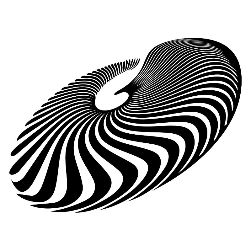Geometric Circle Lines Spiral